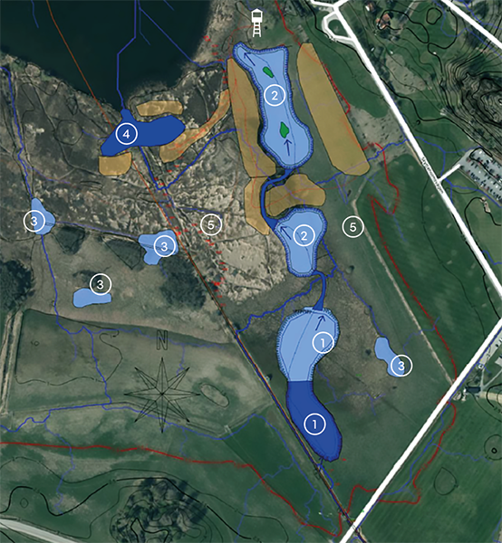 Uppdaterad_karta_Linnea_MM_600px